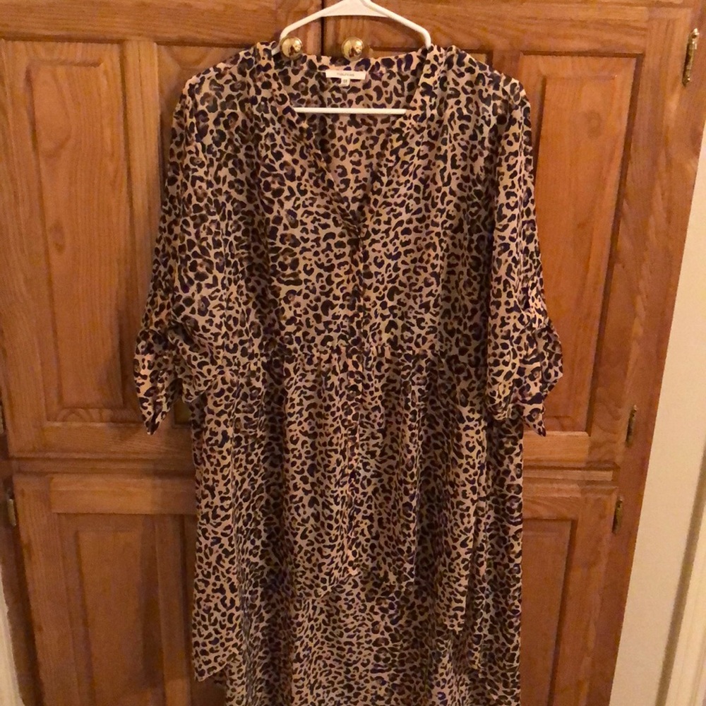 Hi/Low sheer blouse